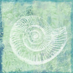 Πίνακας σε καμβά ARTWORK SHELL