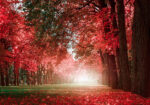 Πινακας σε καμβά AUTUMN MYSTERY ROMANTIC ALLEY