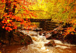 Πινακας σε καμβά AUTUMN RIVER