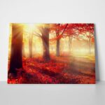 Πινακας σε καμβά BEAUTIFUL AUTUMN PARK