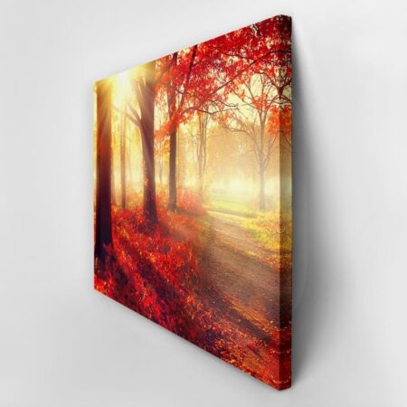 Πινακας σε καμβά BEAUTIFUL AUTUMN PARK - Δασος Sticky 3