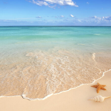 Πινακας σε καμβά CARIBBEAN BEACH - Παραλιες Sticky 5