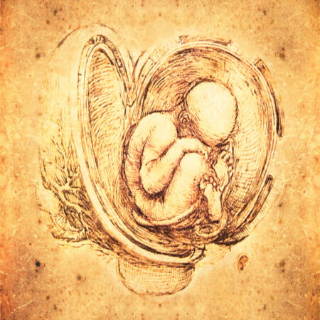 Πινακας σε καμβά DA VINCI - STYLE FETUS - Leonardo Da Vinci Sticky 4