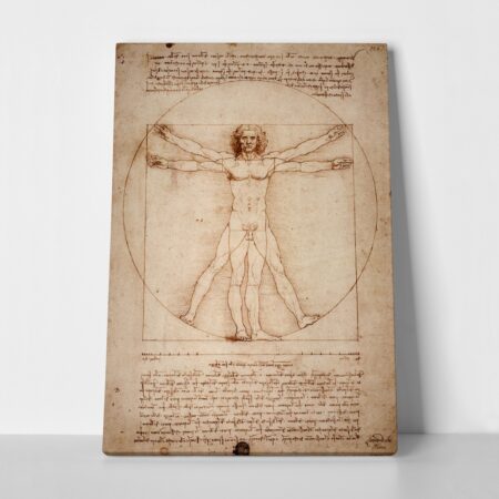 Πινακας σε καμβά DA VINCI - VITRUVIAN MAN - Leonardo Da Vinci Sticky 1