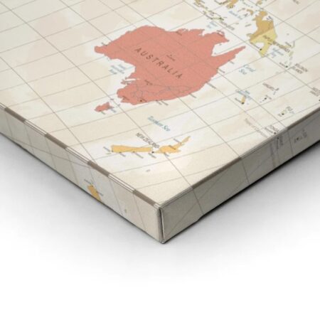 Πινακας σε καμβά DETAILED ILLUSTRATION WORLD MAP - Χαρτες Sticky 1