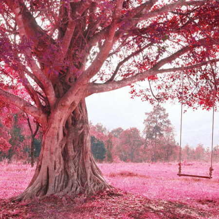 Πινακας σε καμβά FANTASTIC SWING ON TREE PINK - Υπαιθρος Sticky 5