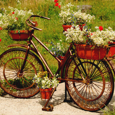 Πινακας σε καμβά FLOWERS BIKE - Ποδηλατα Sticky 6