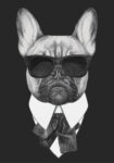 Πινακας σε καμβά FRENCH BULLDOG DOG IN BLACK