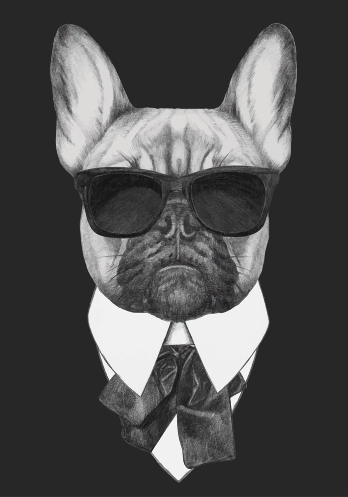 OUTLET Πινακας σε καμβά FRENCH BULLDOG DOG IN BLACK 65x100cm