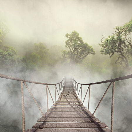 Πινακας σε καμβά JUNGLE BRIDGE - Δασος Sticky 5