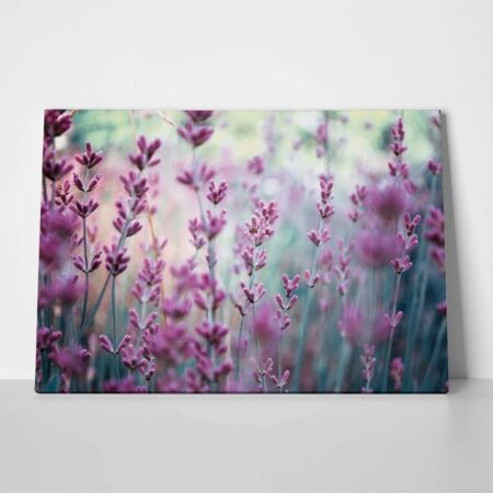 Πινακας σε καμβά LAVENDER - Floral - Λουλουδια Sticky 2