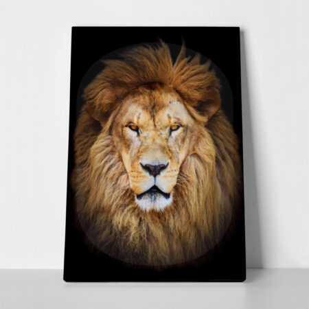 Πινακας σε καμβά LION PORTRAIT - Ζωα Sticky 1