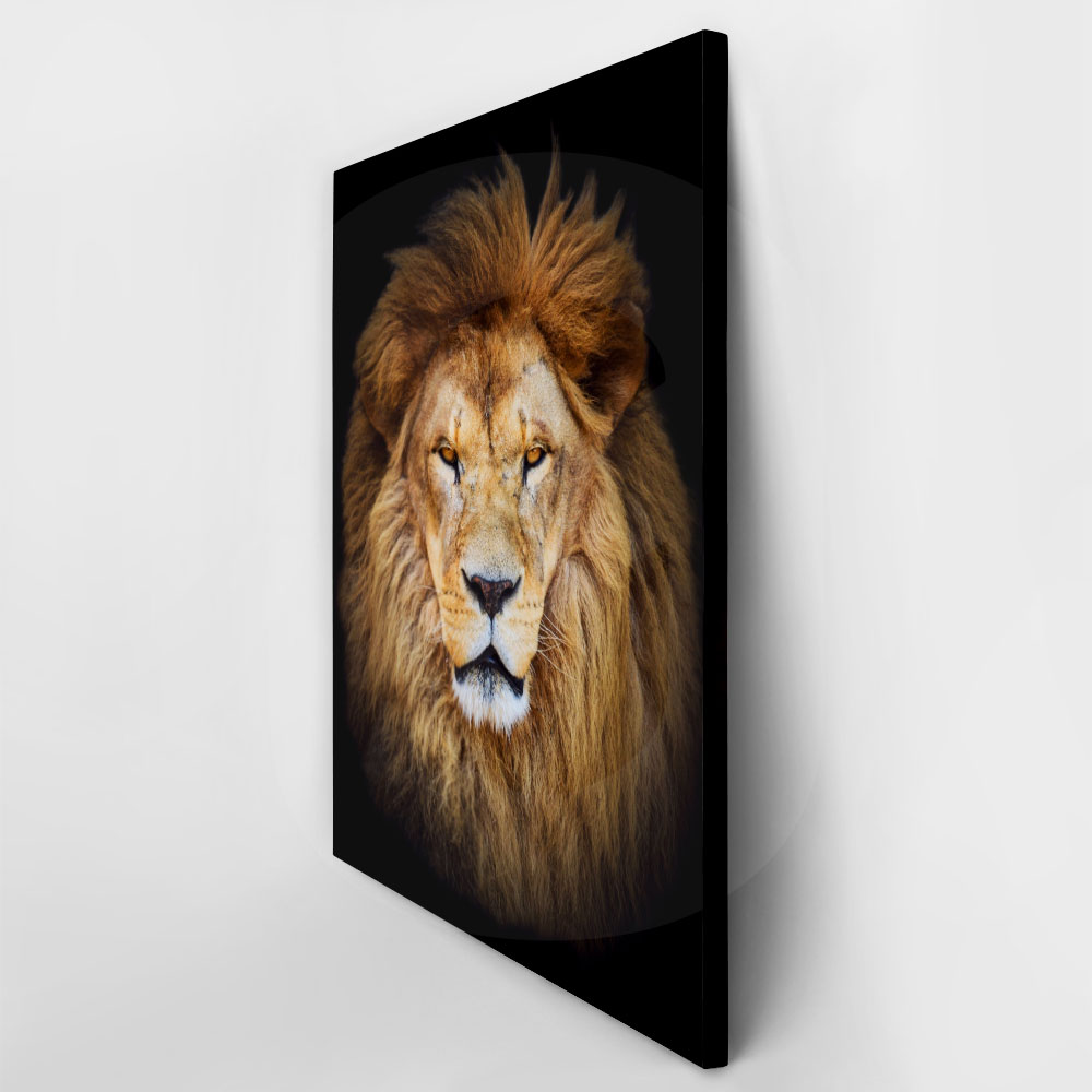 Πινακας σε καμβά LION PORTRAIT