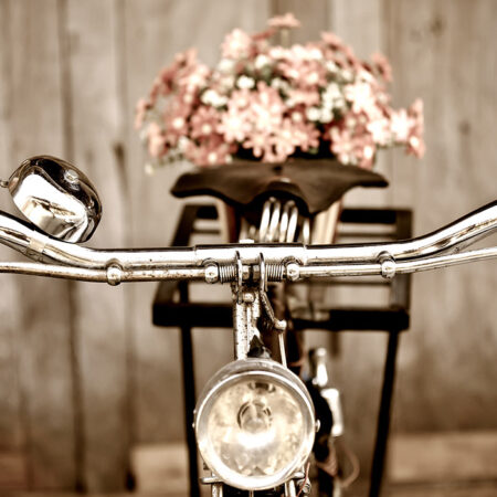 Πινακας σε καμβά LOVE BIKE - Ποδηλατα Sticky 5