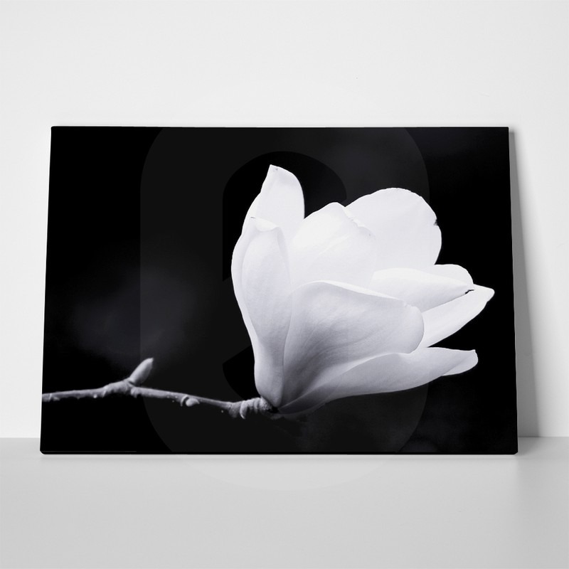 Πινακας σε καμβά MAGNOLIA