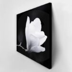 Πινακας σε καμβά MAGNOLIA