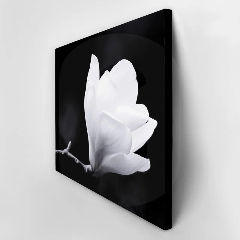 Πινακας σε καμβά MAGNOLIA