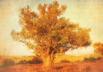 Πινακας σε καμβά OLIVE TREE 2