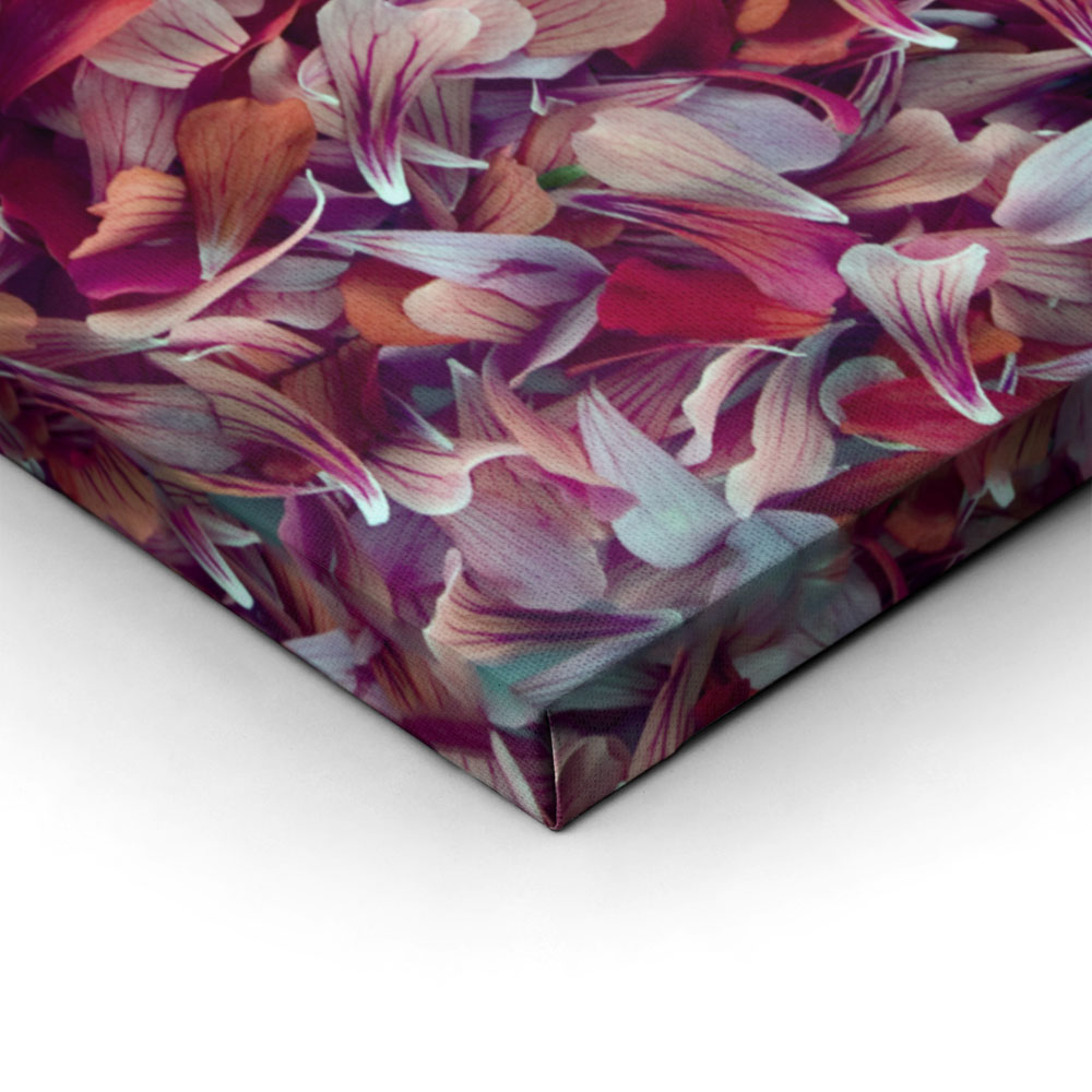 Πινακας σε καμβά PETALS 2