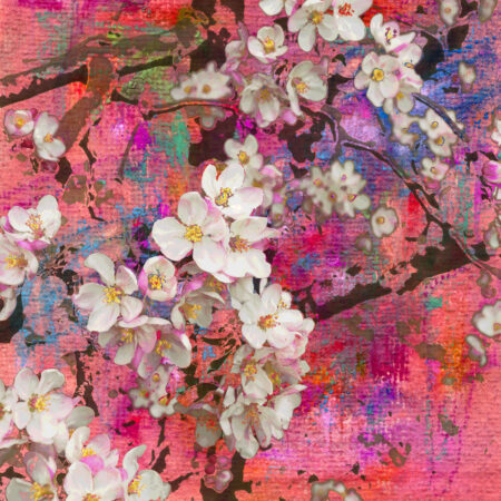 Πίνακας Τετράγωνος PINK BLOSSOMING APPLE - Ανθη Δεντρων Sticky 4