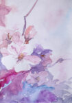 Πινακας σε καμβά PINK FLOWERS WATERCOLOR