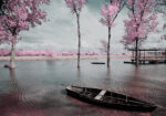 Πινακας σε καμβά PINK LAKE BOAT