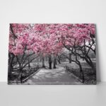 Πινακας σε καμβά PINK BLOSSOM PARK