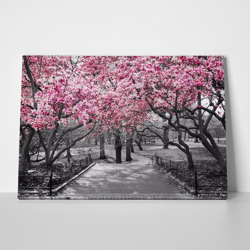 Πινακας σε καμβά PINK BLOSSOM PARK