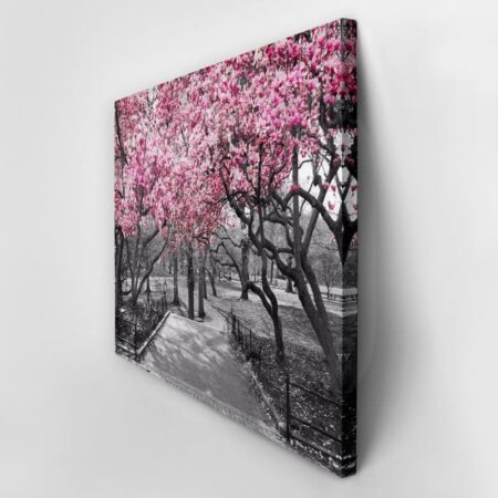 Πινακας σε καμβά PINK BLOSSOM PARK - Ανθη Δεντρων Sticky 3
