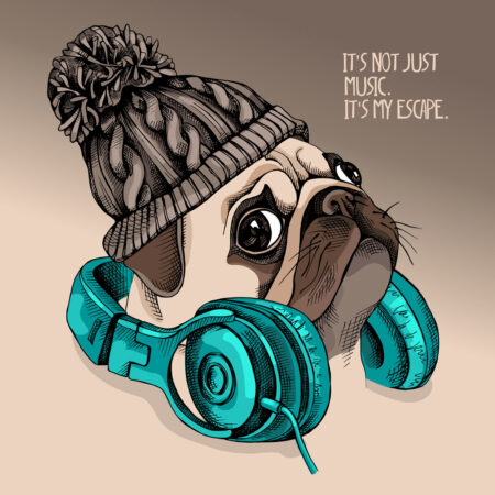 Πίνακας σε καμβά PUG PUPPY KNITTED HIPSTER HAT - Σκυλοι Sticky 4