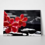Πινακας σε καμβά RED ORCHID