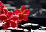 Πινακας σε καμβά RED ORCHID