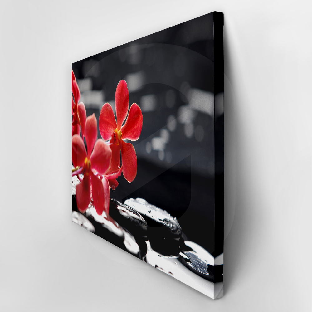 Πινακας σε καμβά RED ORCHID
