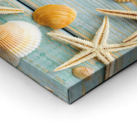 Πινακας σε καμβά SEA SHELLS FRAME - Κοχυλια Sticky 2