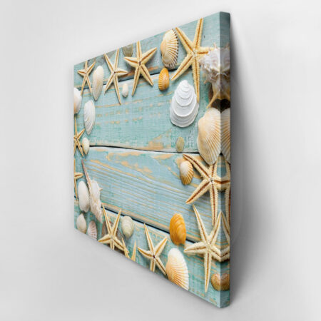 Πινακας σε καμβά SEA SHELLS FRAME - Κοχυλια Sticky 3