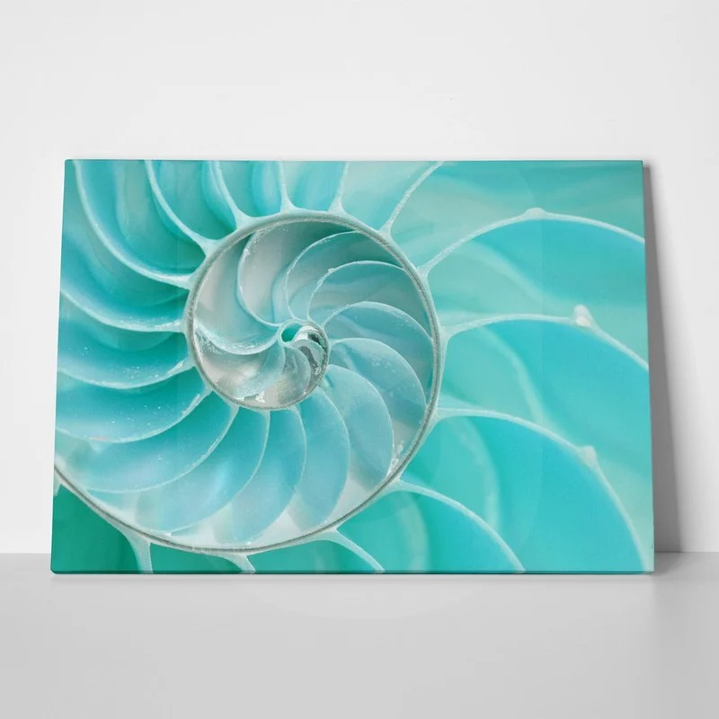 Πινακας σε καμβά SEA SHELL