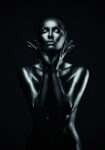 Πινακας σε καμβά SILVER LADY