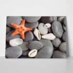 Πινακας σε καμβά STARFISH 2