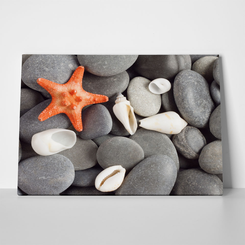 Πινακας σε καμβά STARFISH 2