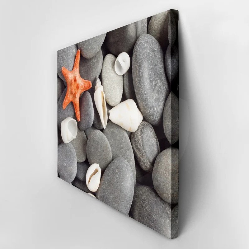 Πινακας σε καμβά STARFISH 2
