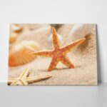 Πινακας σε καμβά STARFISH 1