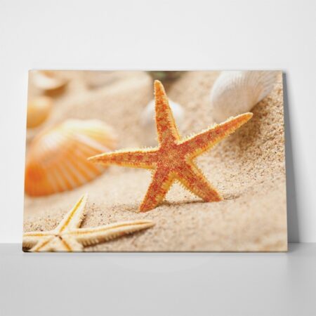 Πινακας σε καμβά STARFISH 1 - Κοχυλια Sticky 1