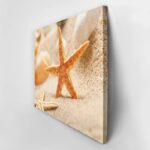 Πινακας σε καμβά STARFISH 1