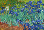 Πινακας σε καμβά VAN GOGH - IRISES
