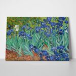 Πινακας σε καμβά VAN GOGH - IRISES