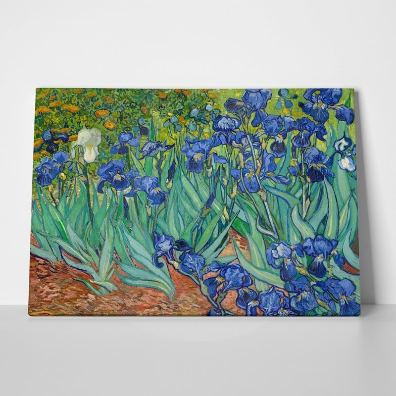 Πινακας σε καμβά VAN GOGH - IRISES