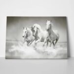 Πινακας σε καμβά WILD HORSES