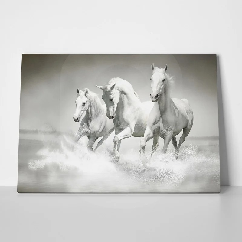 Πινακας σε καμβά WILD HORSES