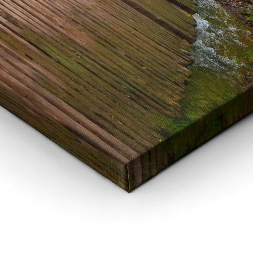 Πινακας σε καμβά WOODEN PATH