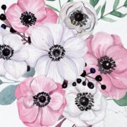 anemones-category